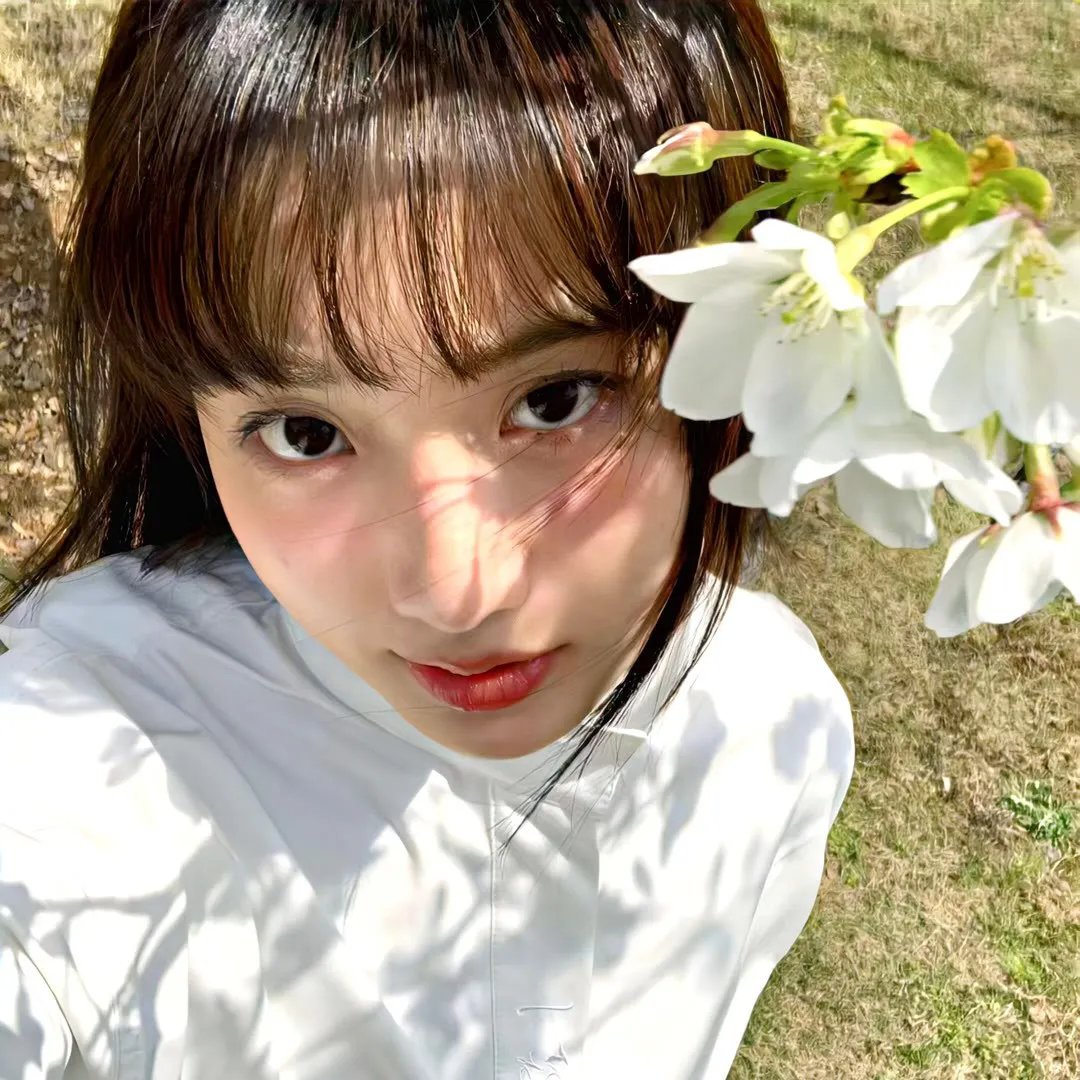 魔法使的新娘第二季